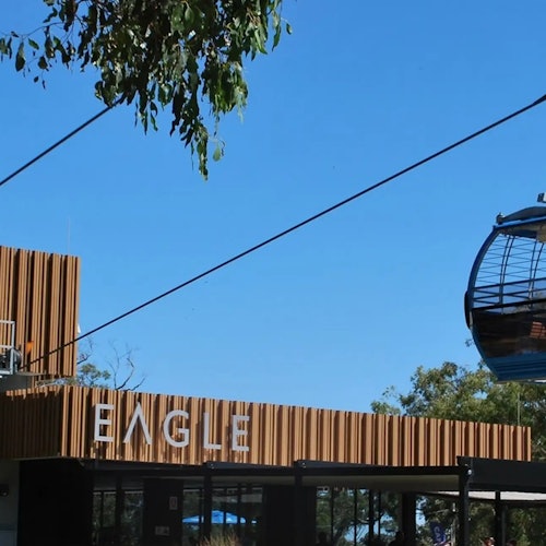Arthurs Seat Eagle: Roundtrip Gondola Ticket + Drink — gallery 1