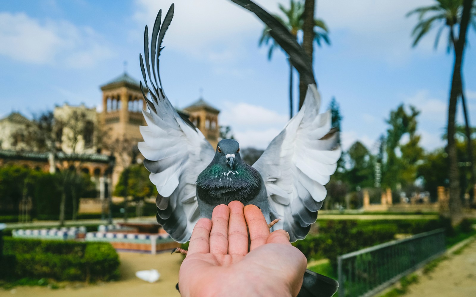 Guided Monumental Walking Tour in Seville — gallery 4