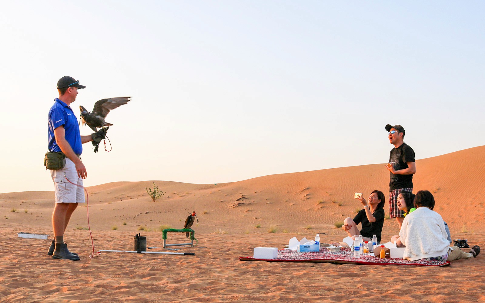 Desert Wonder: Evening Safari, Camel Farm Visit & BBQ Dinner — gallery 3