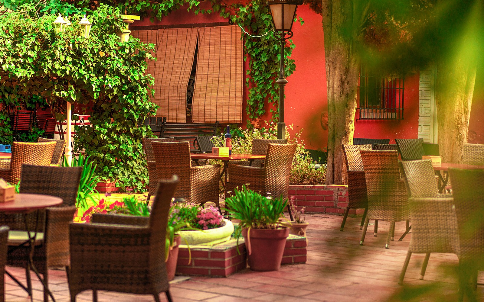 Tablao Jardines de Zoraya - Flamenco Show — gallery 4