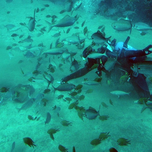 Submarine: Dive into the Atlantic Ocean — gallery 2