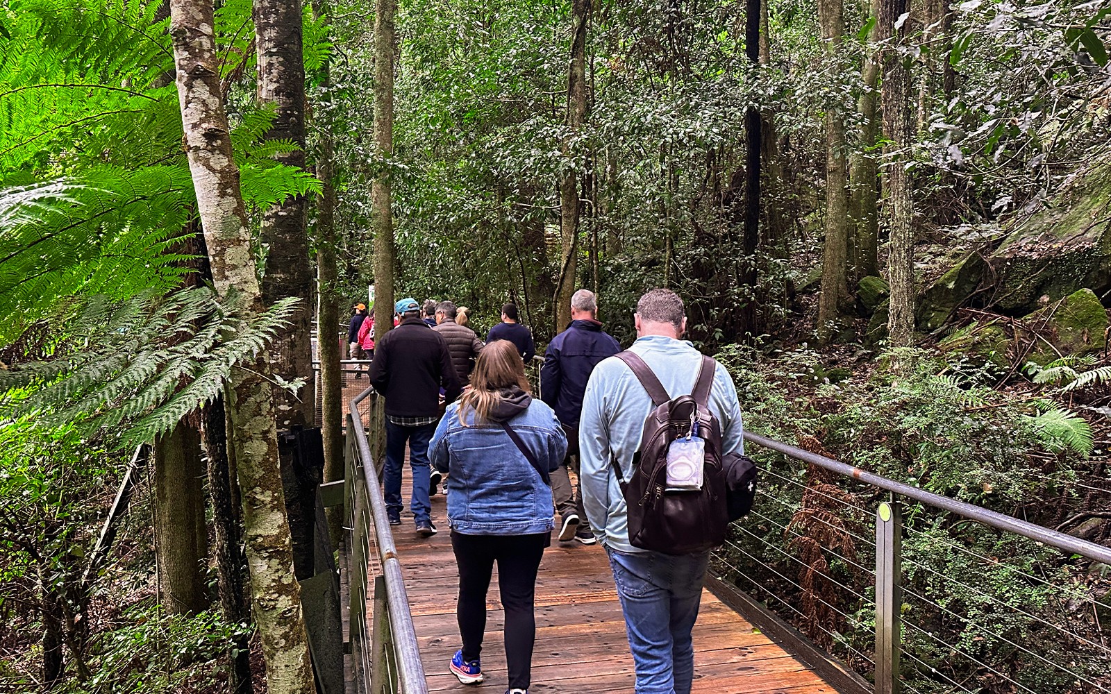 Blue Mountains Tour with Scenic World & Sydney Zoo — gallery 3