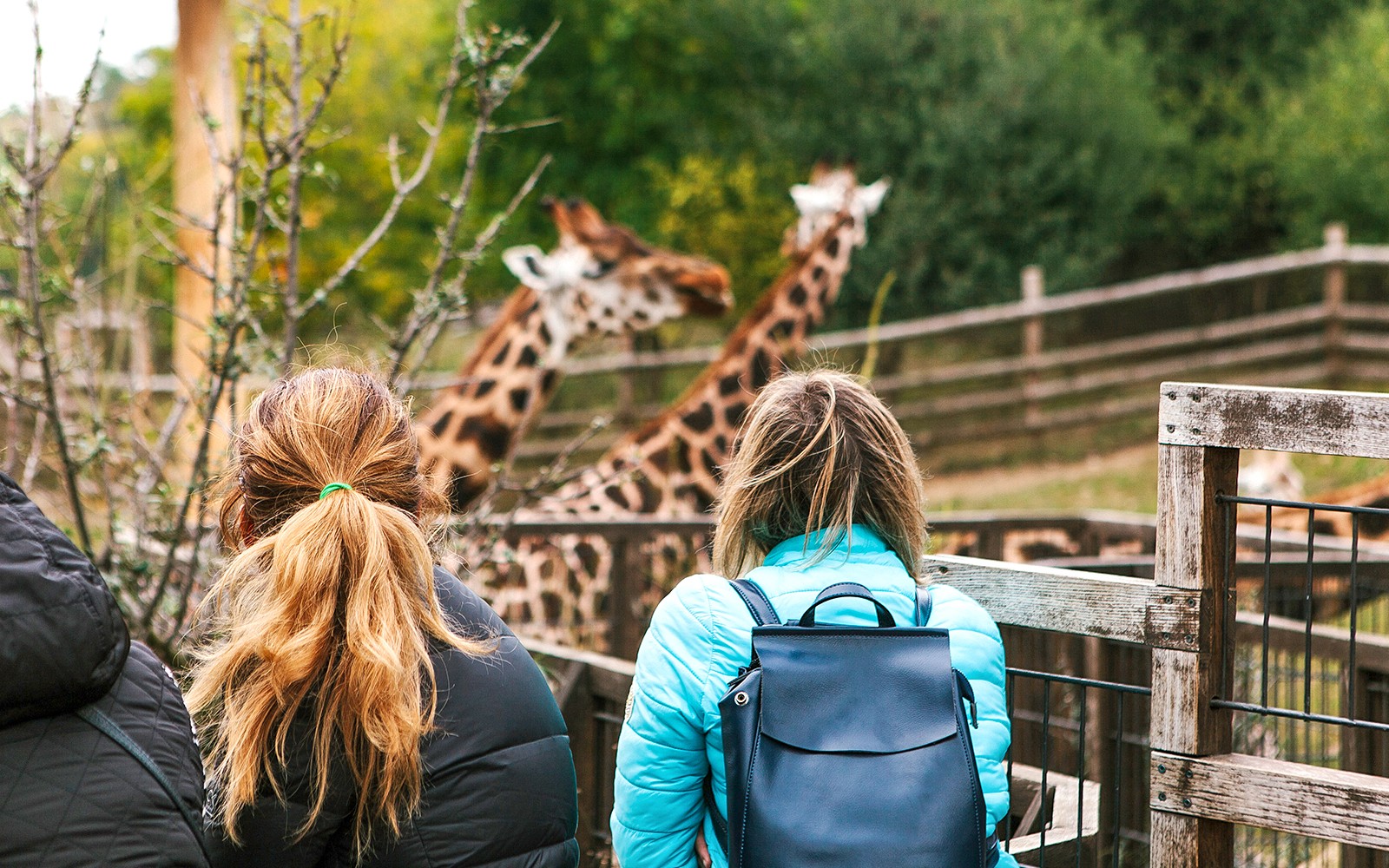Prague Zoo Tickets