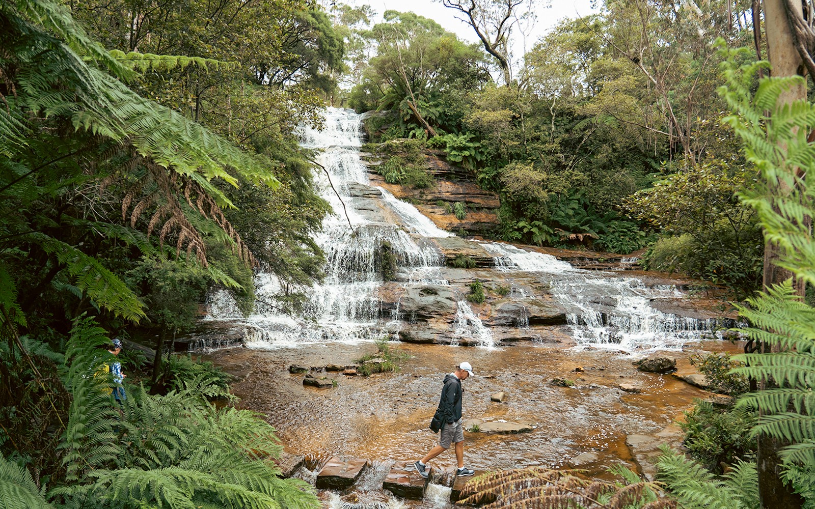 Blue Mountains Sunset Tour: Wentworth Falls Bushwalks, Wildlife & Lookouts