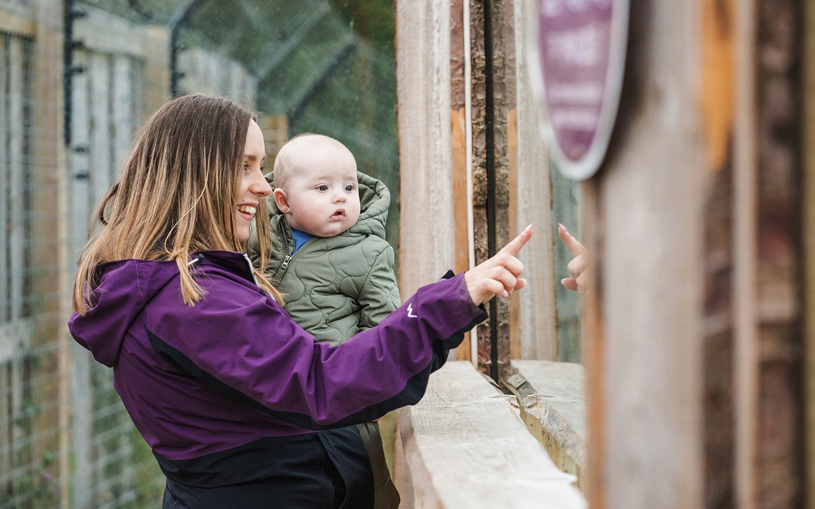 Highland Wildlife Park Entrance Tickets