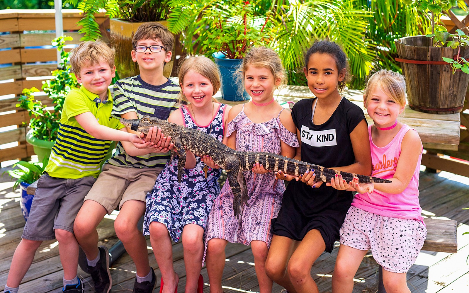 Miami: Everglades Holiday Park Airboat Tour with Alligator Show — gallery 4