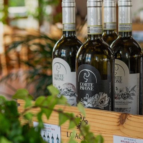 Corte Pavone Winery Estate: Guided Winery Tour with Montalcino Wine Tasting