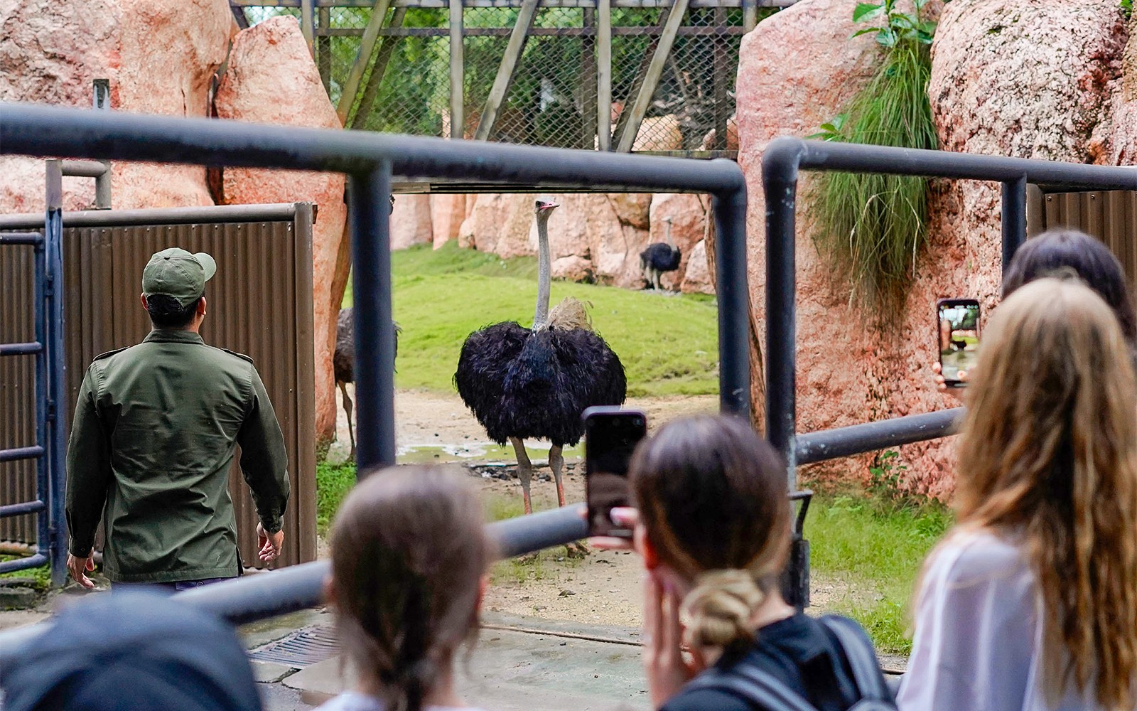 Behind Closed Doors at Bali Zoo