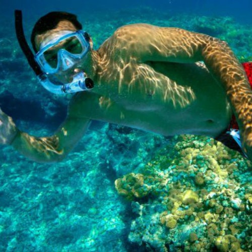 Double Dip Snorkel Trip — gallery 2