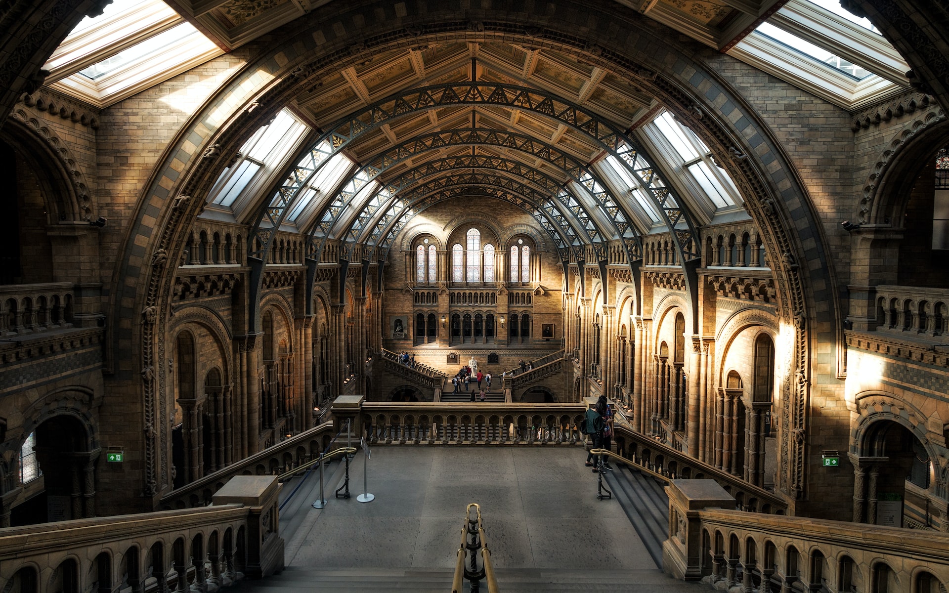 Natural History Museum Reserved Entry Ticket & Audio Tour