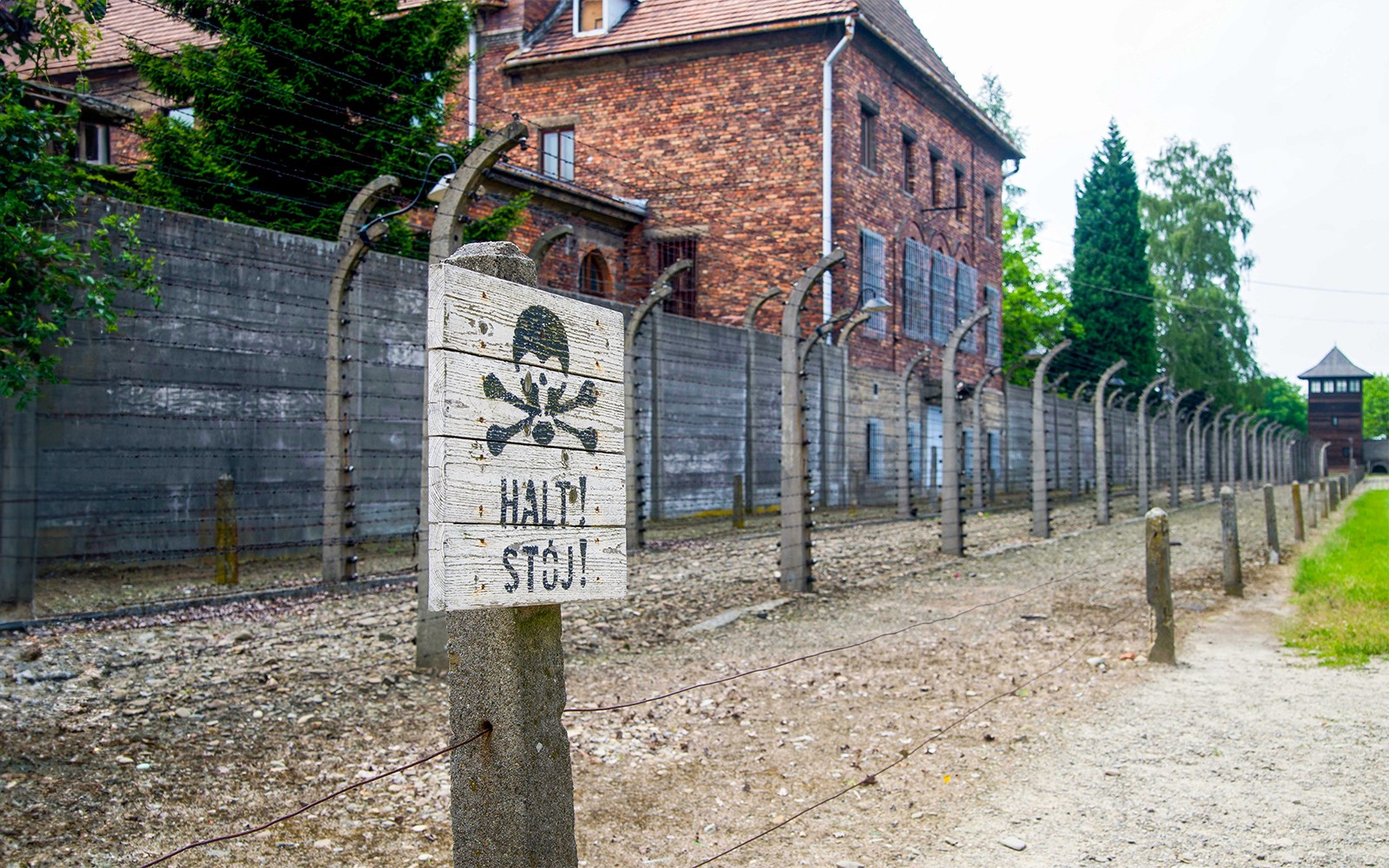 One-Way Tickets: Auschwitz-Birkenau Museum to/from Krakow Bus Station — gallery 3