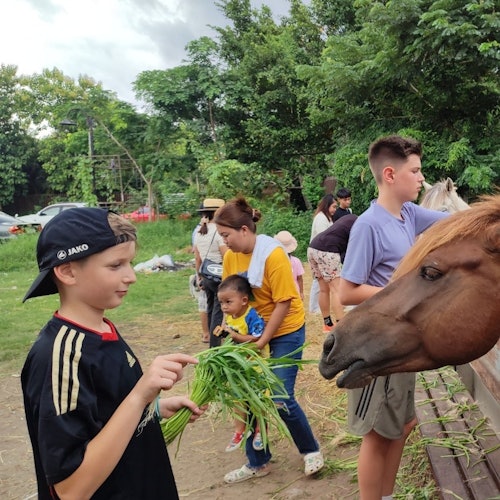 From Bangkok: Colors of Damnoen Saduak: Bike Tour, Lunch, Boat Ride + Transfers — gallery 2