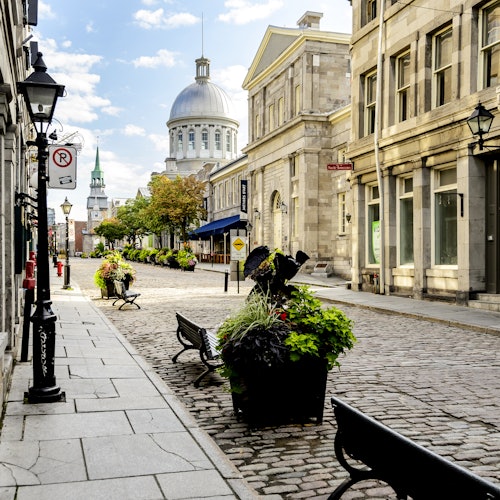 The Best of Montreal Tour with Boat Cruise — gallery 1