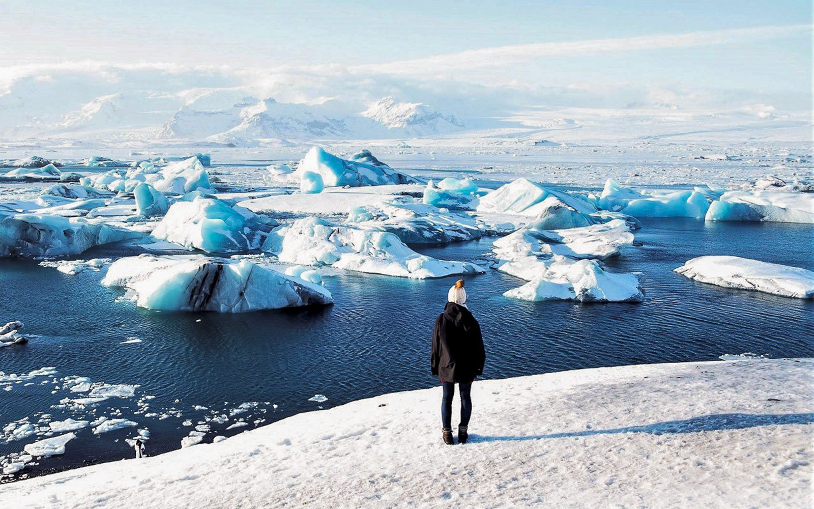  Reykjavik: Jokulsarlon Glacier Lagoon & South Iceland Tour
