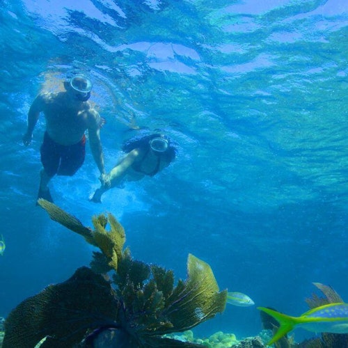 Key West: Morning Snorkel Tour — gallery 1