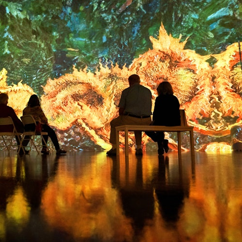 The New Immersive Van Gogh - The Next Chapter Las Vegas: Entry Ticket — gallery 2