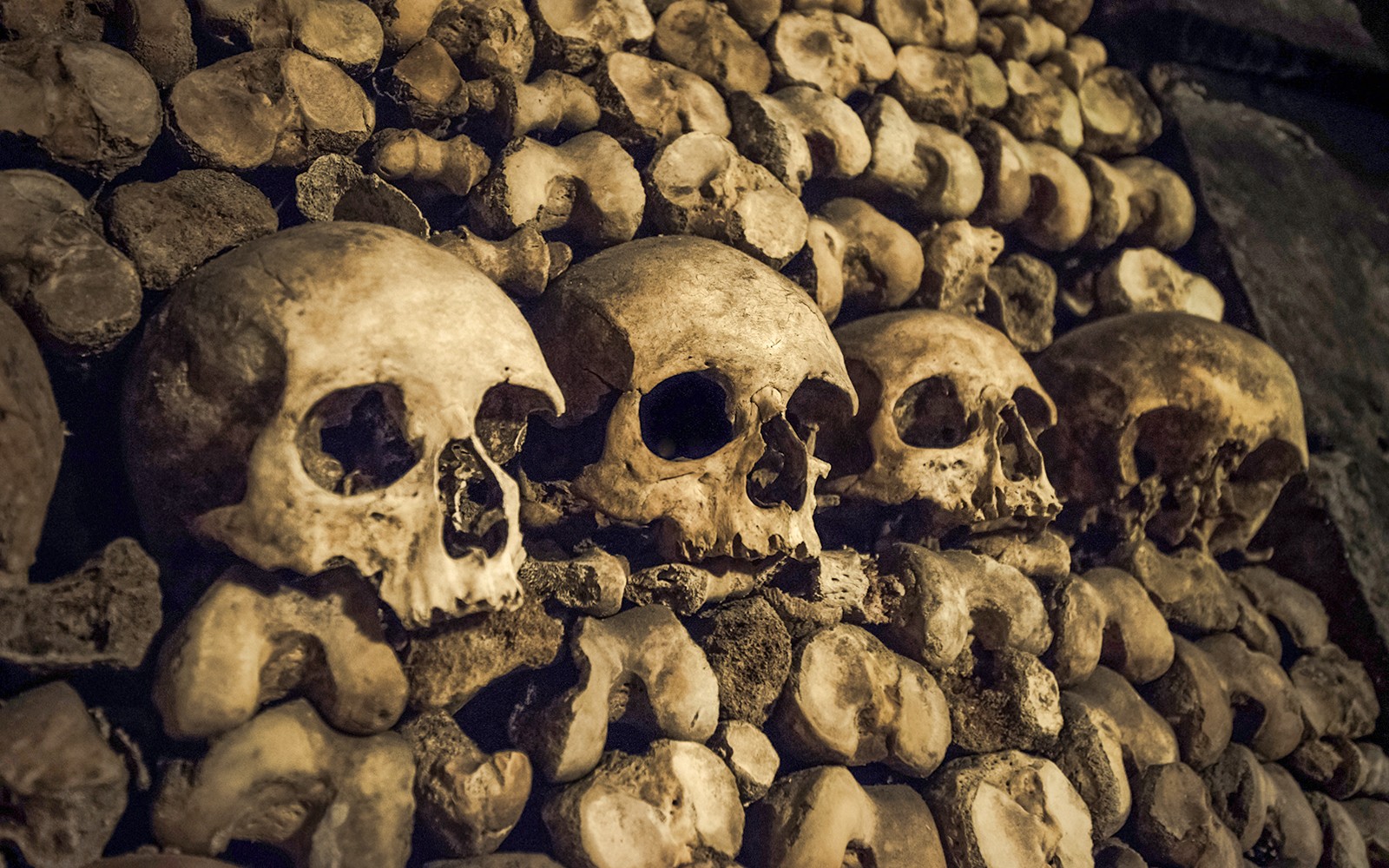 Combo: Catacombs Tickets + Seine River Cruise — gallery 4