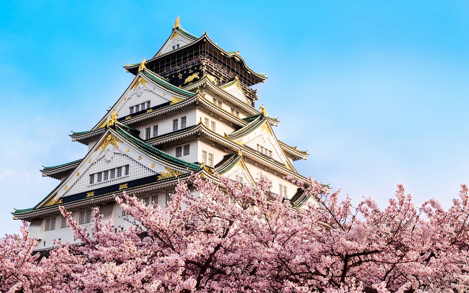 Osaka Castle Skip-the-line Tickets — gallery 5