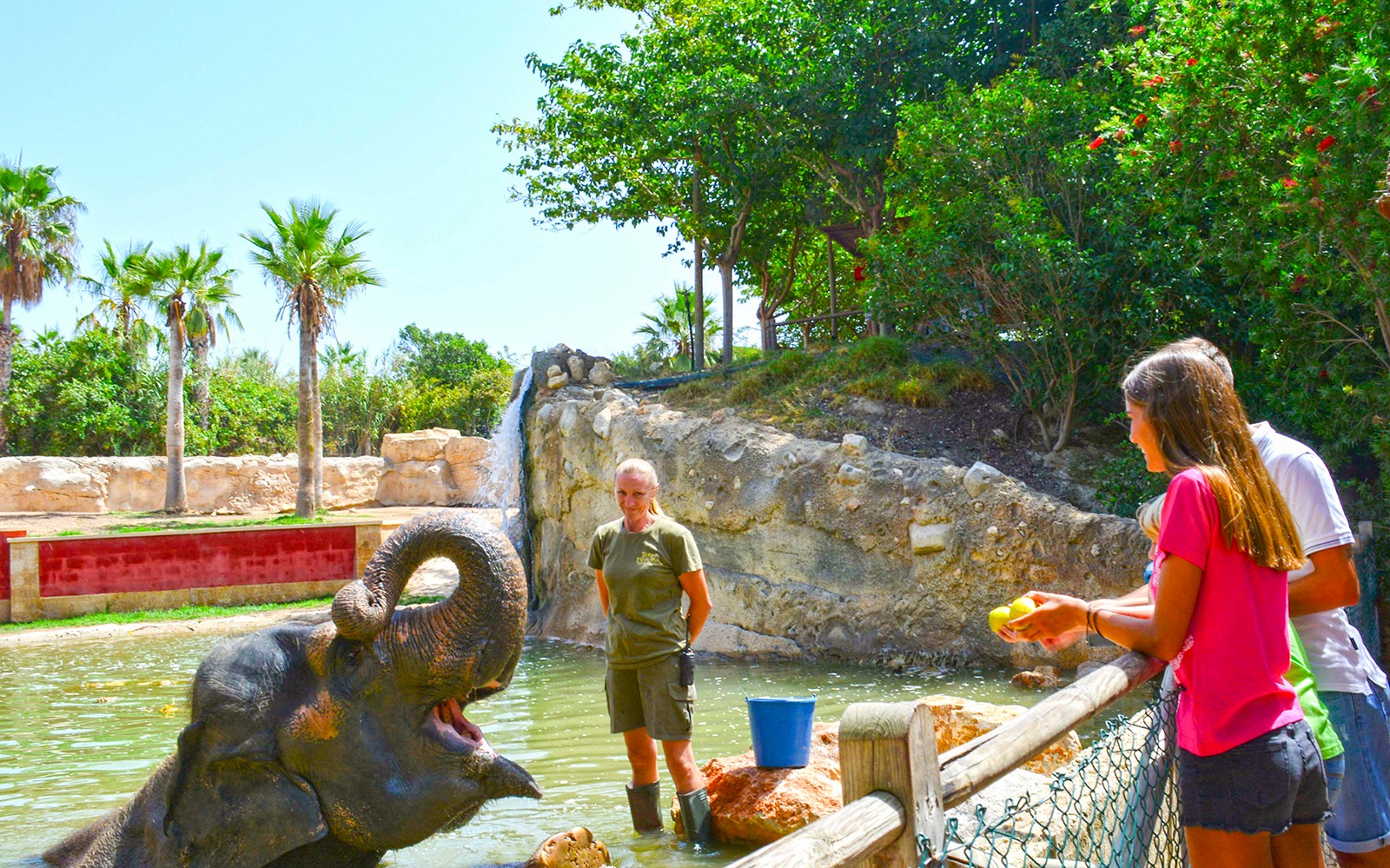 Fast Track Access to Terra Natura Benidorm