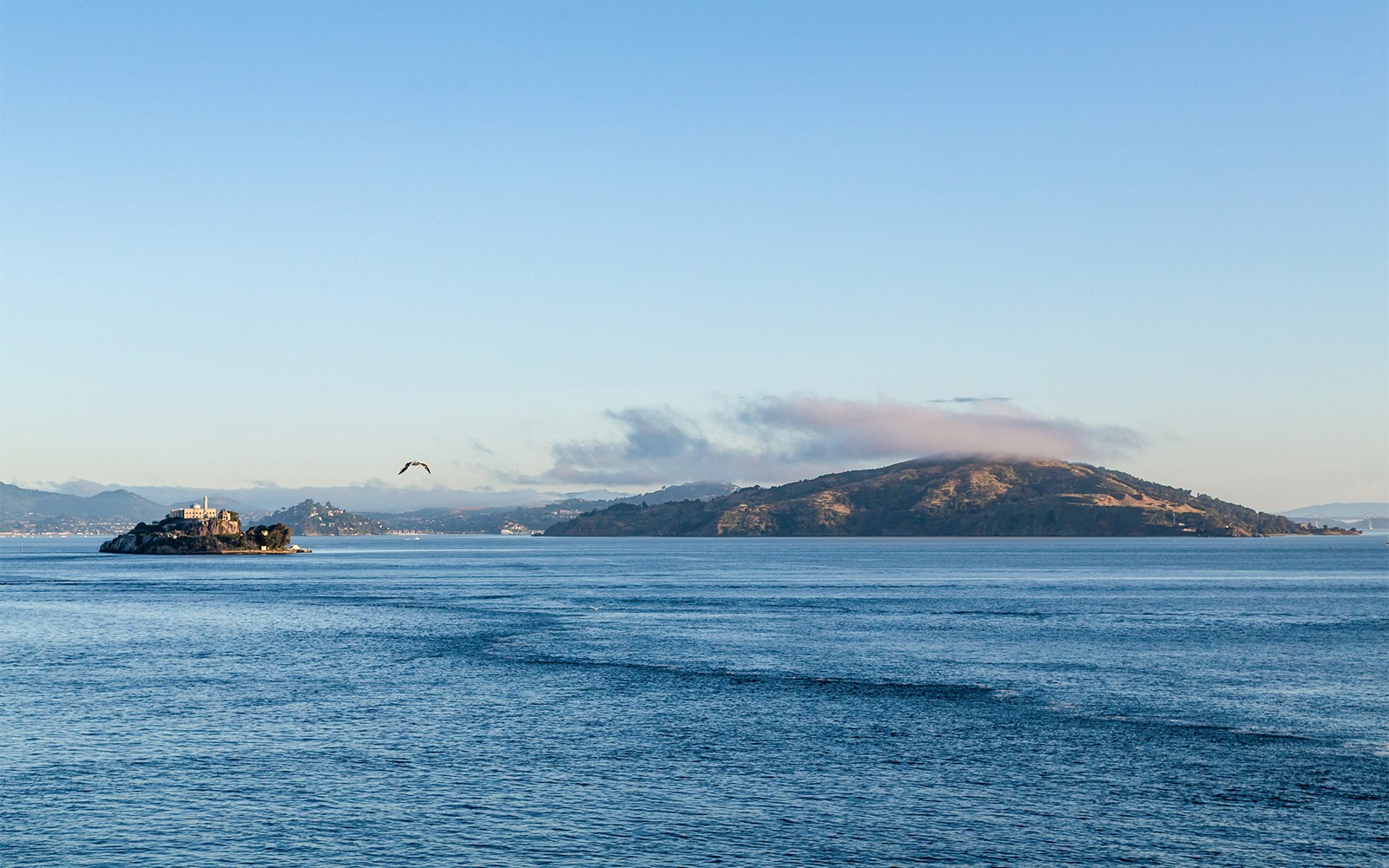 Escape from The Rock Cruise — gallery 2