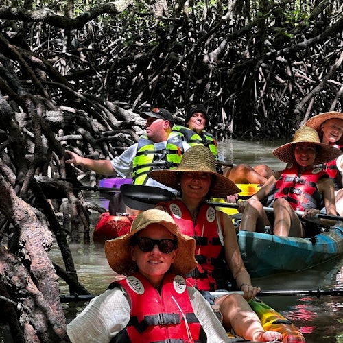 Paradise 101 Langkawi: Kilim Mangrove Guided Boat & Kayak Tour — gallery 5