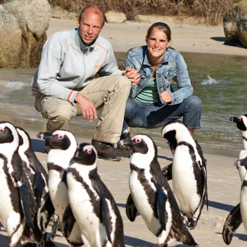 Table Mountain & Cape Point: Small-Group Tour — gallery 3