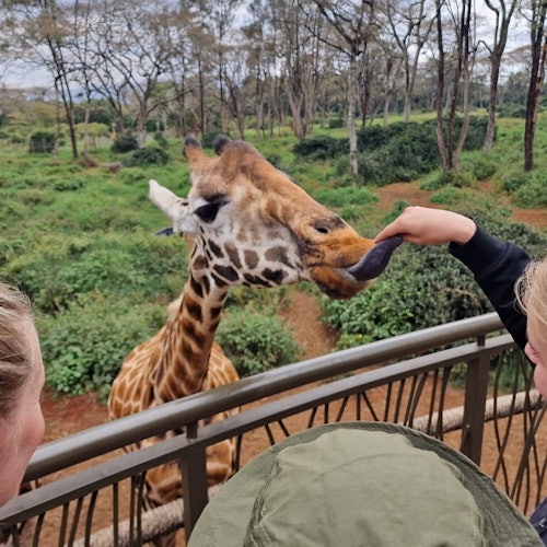 Nairobi: Elephant Orphanage, Giraffe Center + Kazuri Bead Factory Day Tour — gallery 5