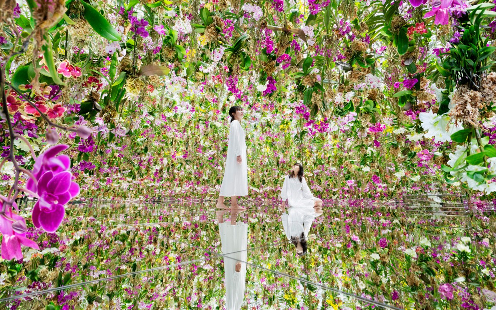 teamLab Planets TOKYO Tickets