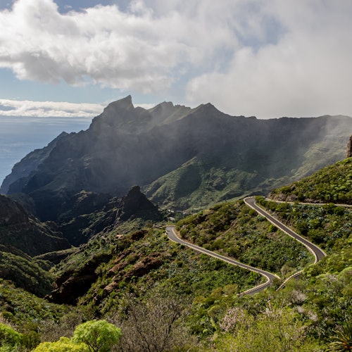 Teide, Icod, Garachico, and Masca: Excursion from the South — gallery 1
