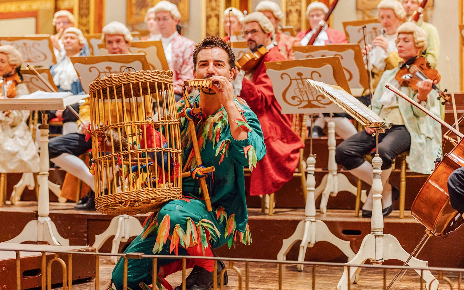 Music Society Vienna (Musikverein): Mozart Orchestra Concert & 3 Course Dinner