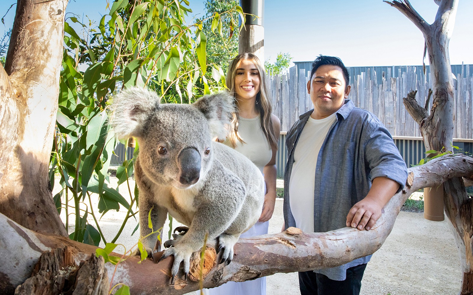 Blue Mountains Tour with Scenic World, Sydney Zoo & Koala Photo — gallery 1