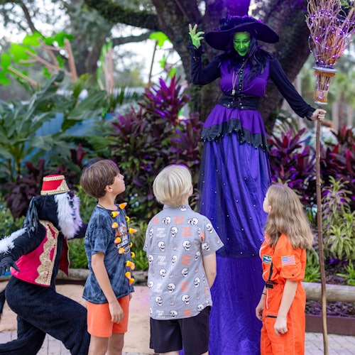 ZooTampa: Creatures of the Night — gallery 4
