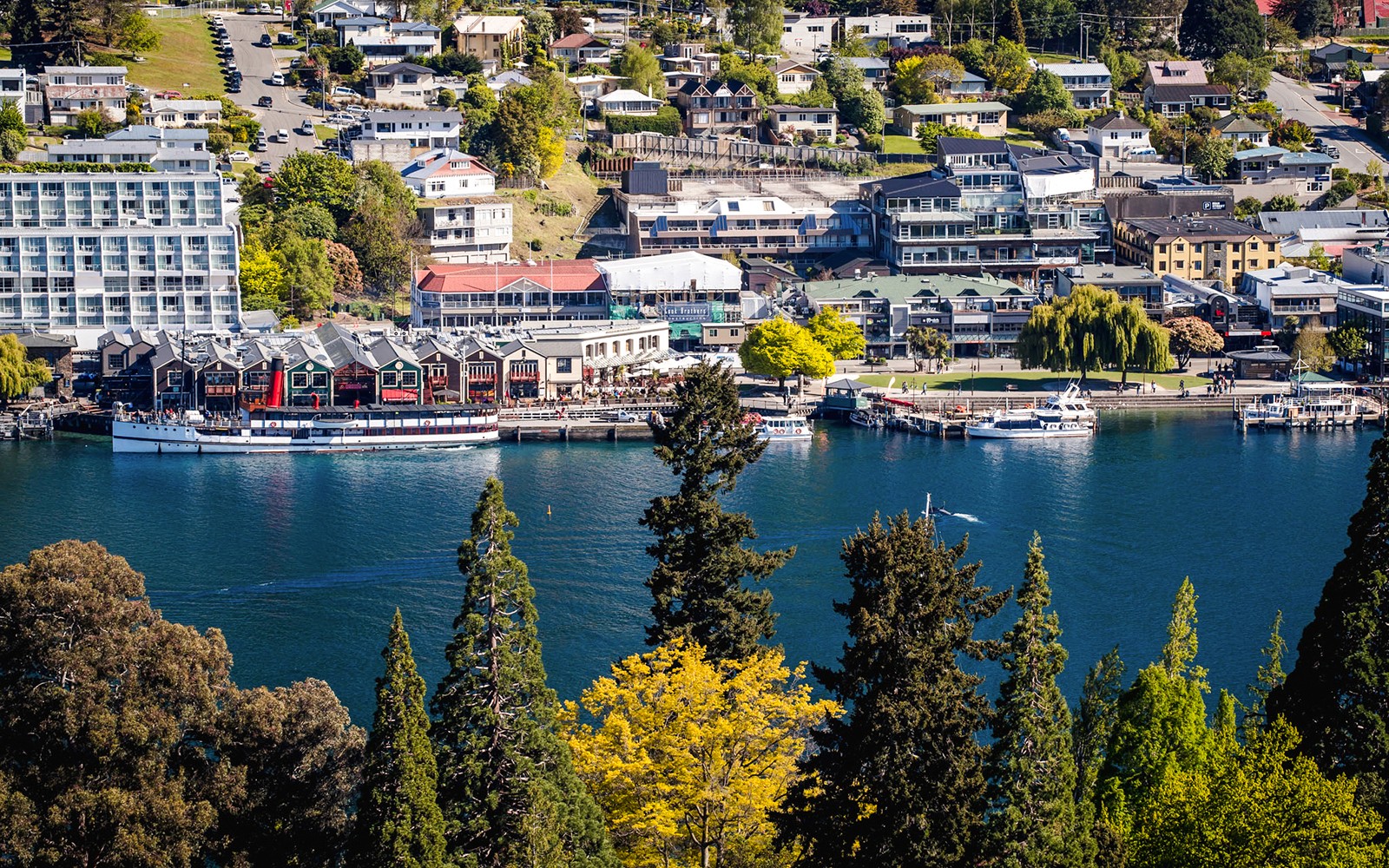From Queenstown: TSS Earnslaw Lake Wakatipu Cruise