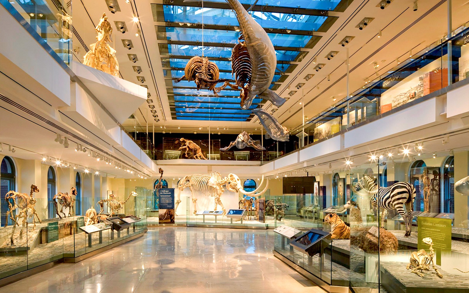 Go City Los Angeles Explorer Pass: Choose 2/3/4/5/7 Attractions — gallery 4