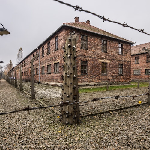 Auschwitz-Birkenau & Wieliczka Salt Mine: Guided Tour + Transport