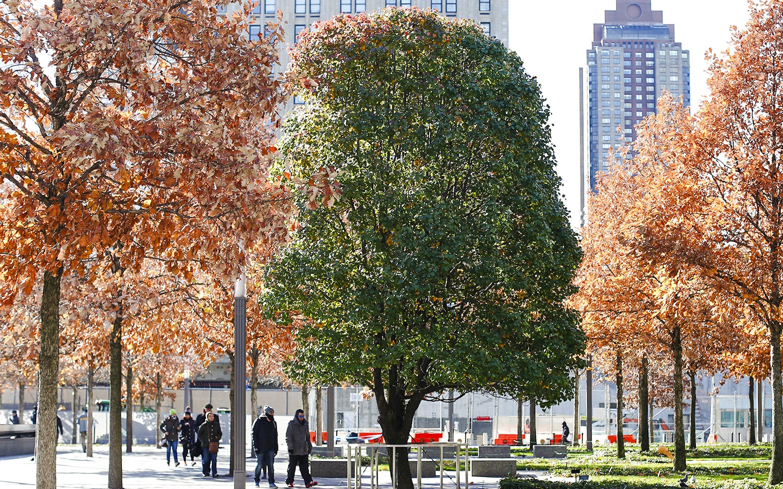 Ground Zero 9/11 Memorial Tour & 9/11 Museum Skip-the-Line Tickets