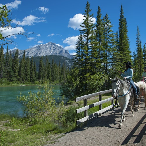 Bow River Horseback Ride from Banff — gallery 2