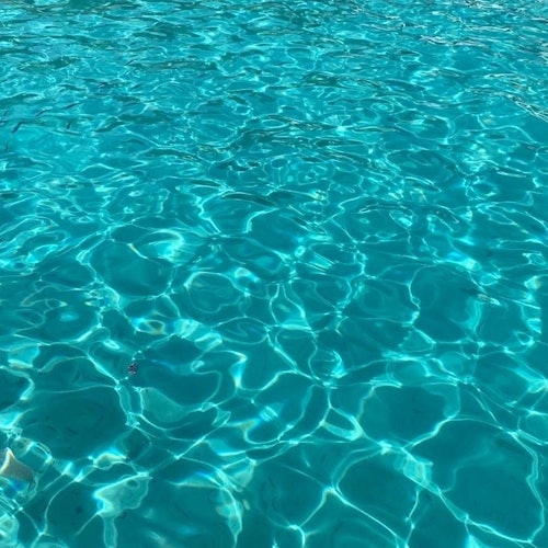 Bodrum: Orak Island Boat Trip — gallery 5