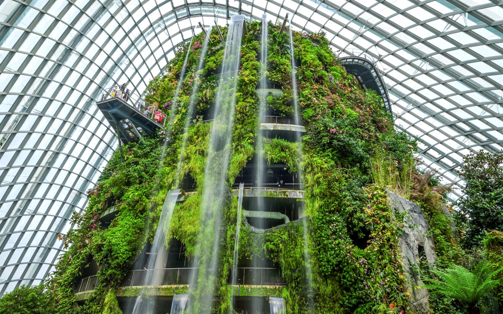 Gardens by the Bay Tickets: Cloud Forest (Jurassic World Experience) + Flower Dome + Floral Fantasy