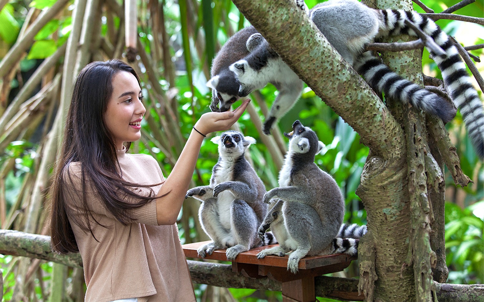 Bali Zoo Entry Tickets