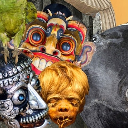 Ripley's Believe It or Not! San Antonio: 4-Attraction Pass — gallery 3