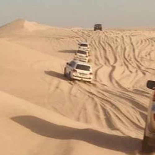 Doha: Half-Day Desert Safari Tour + Roundtrip Transfer — gallery 4