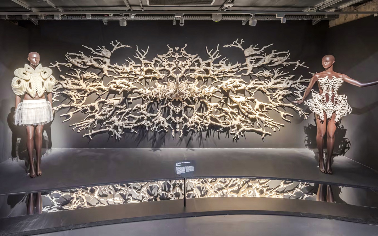 ArtScience Museum Exhibition Tickets