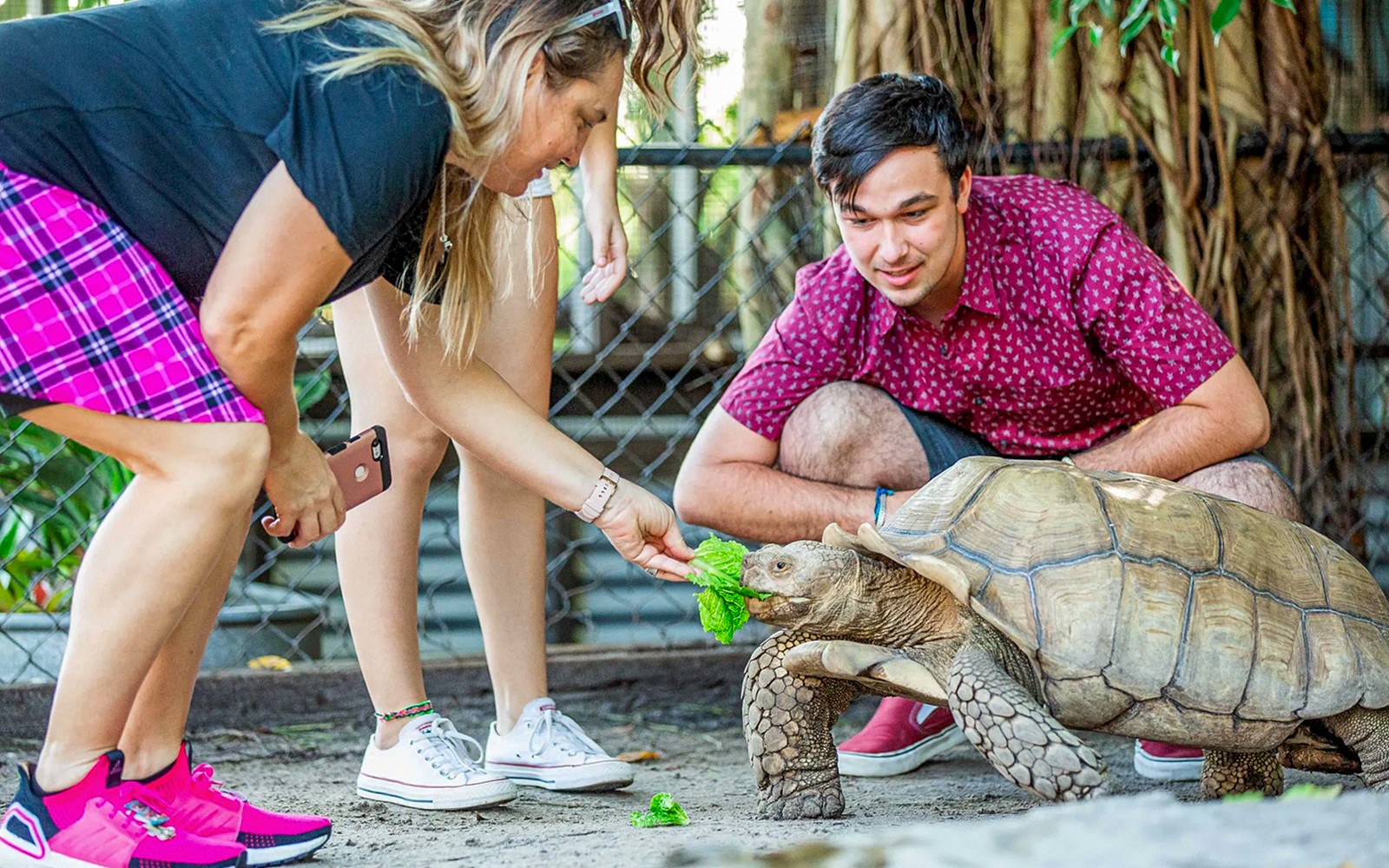 Miami: Sawgrass Recreation Park Airboat Tour with Reptile Exhibit & Optional Transportation — gallery 2