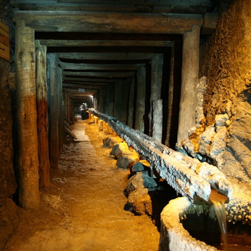 Auschwitz-Birkenau & Wieliczka Salt Mine: Guided Tour + Transport — gallery 2