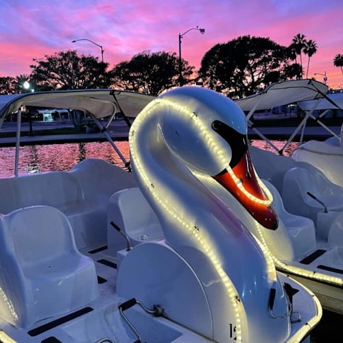 Long Beach: Swan Boat Rental at Rainbow Lagoon — gallery 3