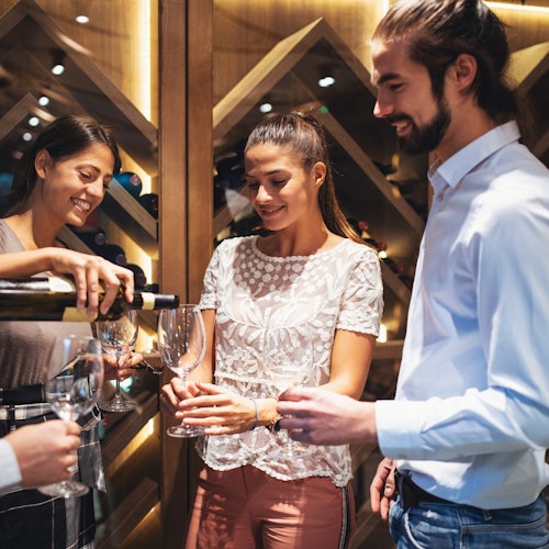 Médoc: Half-Day Wine Tour from Bordeaux — gallery 1