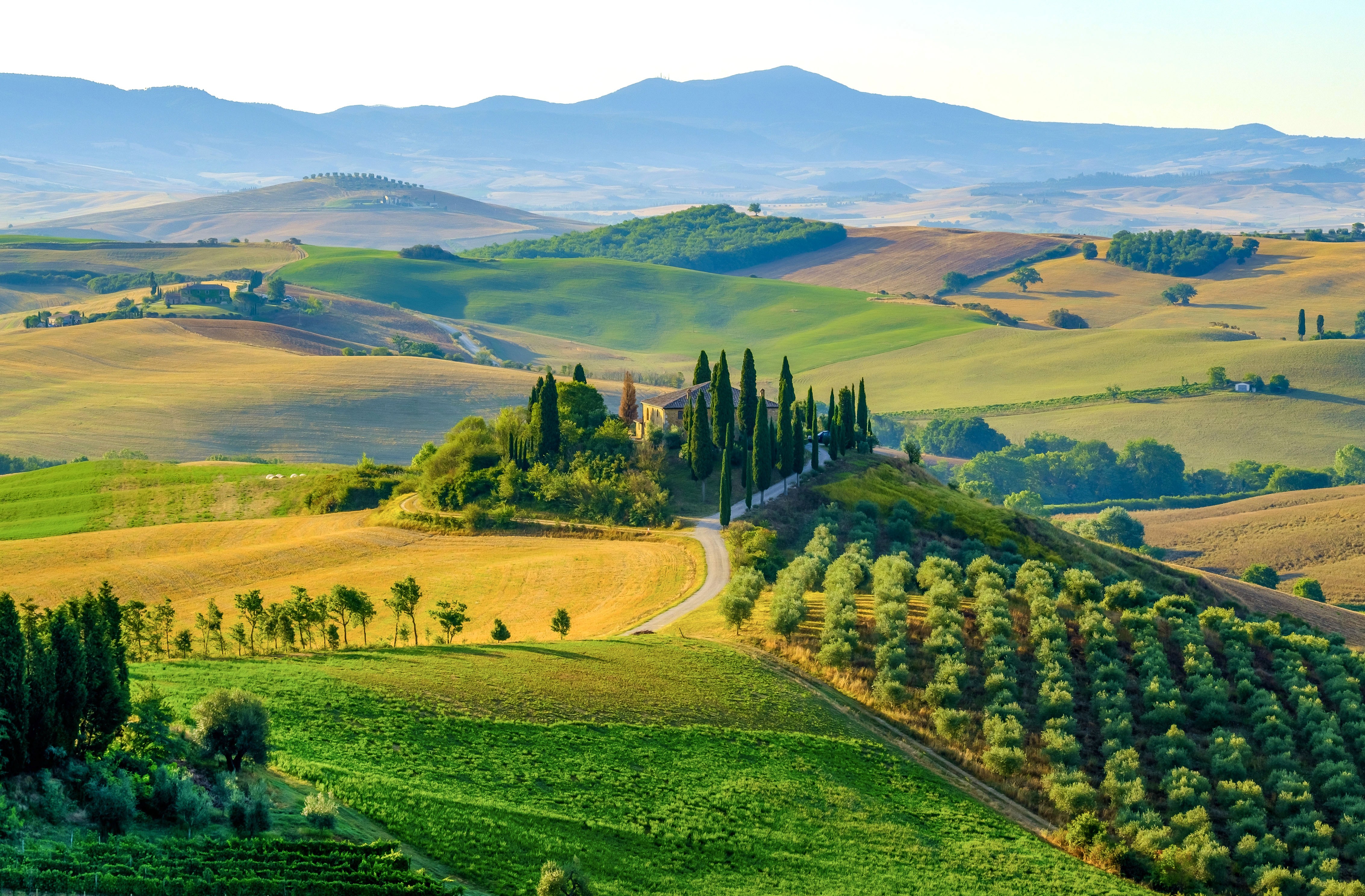 From Florence: Guided Vespa Tour of Tuscany — gallery 4