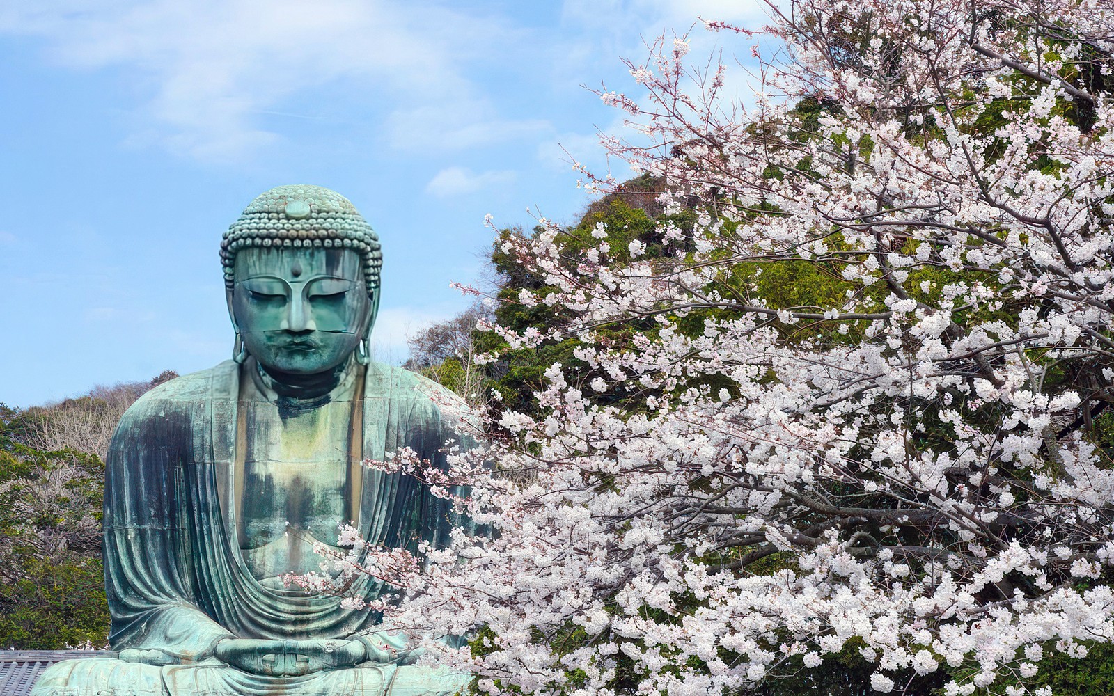 From Tokyo: Kamakura & Hasedera Day Trip with Kotoku In Temple, Enoshima, Enoden Train, & More