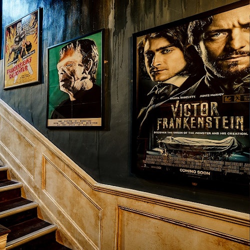 Mary Shelley's House of Frankenstein: Entry Ticket — gallery 1